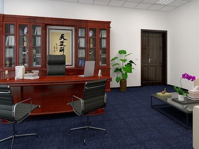 日照大规模蔬菜种植方法